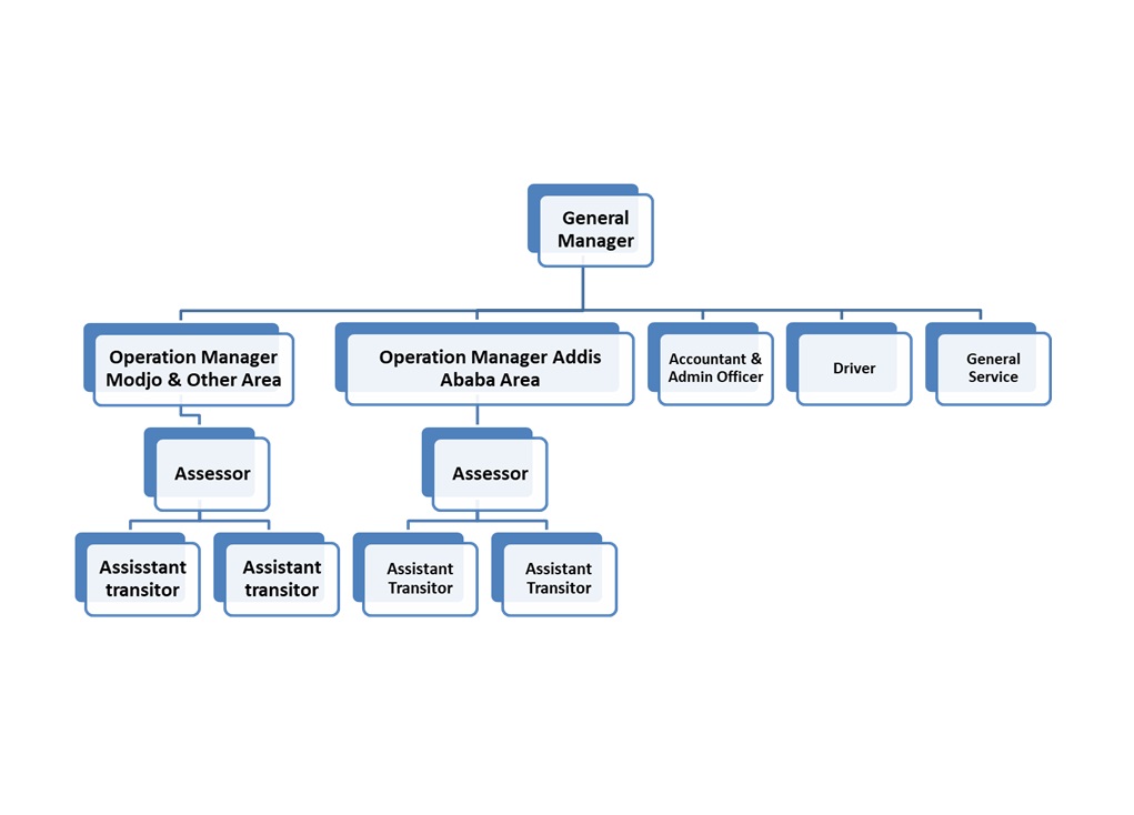 Organizational Structure